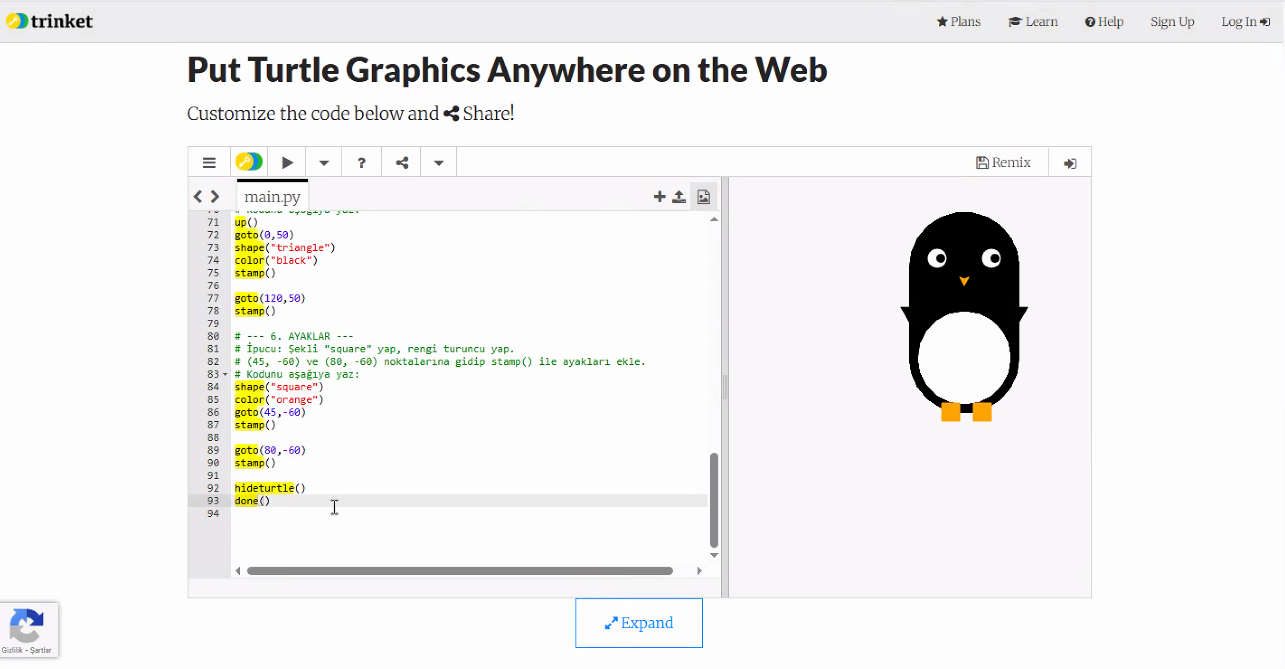 Öğrencinin turtle grafikleriyle çizdiği penguen